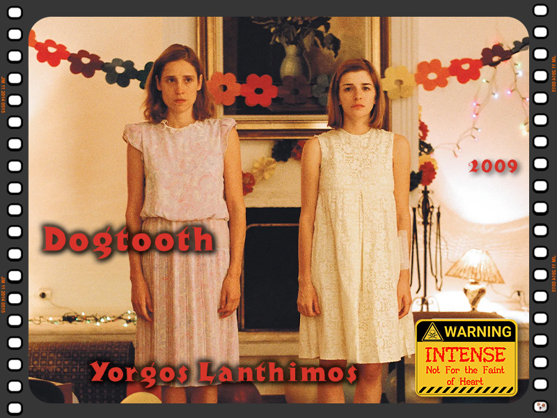 Dogtooth